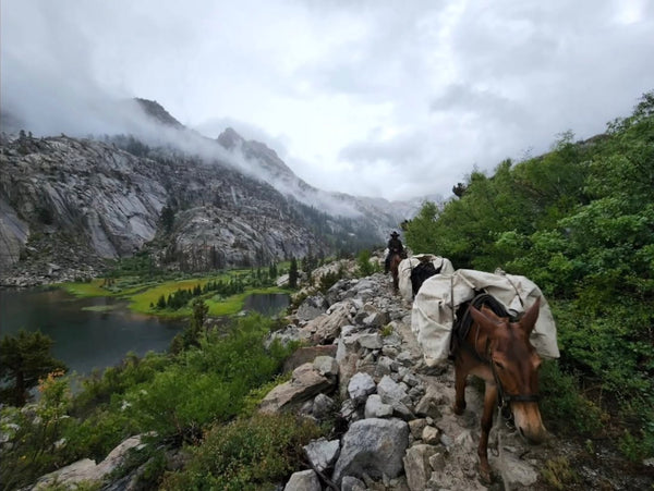 Tea & Mindfulness 6-day Backpacking Trip in the Eastern Sierra Nevada Mountains